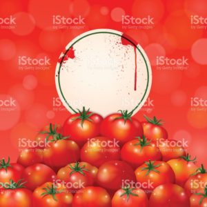 La Tomatina 22