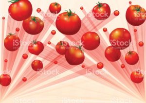 La Tomatina 28