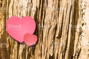 Valentine's Day background [Heart on decayed wood]